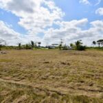 listing image thumbnail with ID 24785