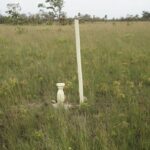 listing image thumbnail with ID 25249