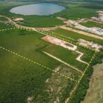 listing image thumbnail with ID 19910