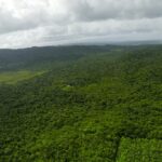 listing image thumbnail with ID 23347