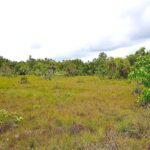 listing image thumbnail with ID 24169