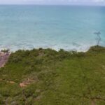 listing image thumbnail with ID 21856