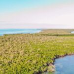 listing image thumbnail with ID 26521