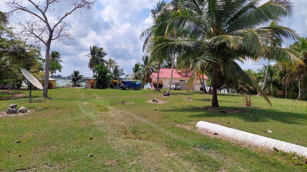 listing image with ID 25012