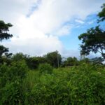 listing image thumbnail with ID 23809