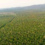 listing image thumbnail with ID 23225