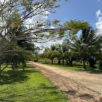 listing image thumbnail with ID 20437