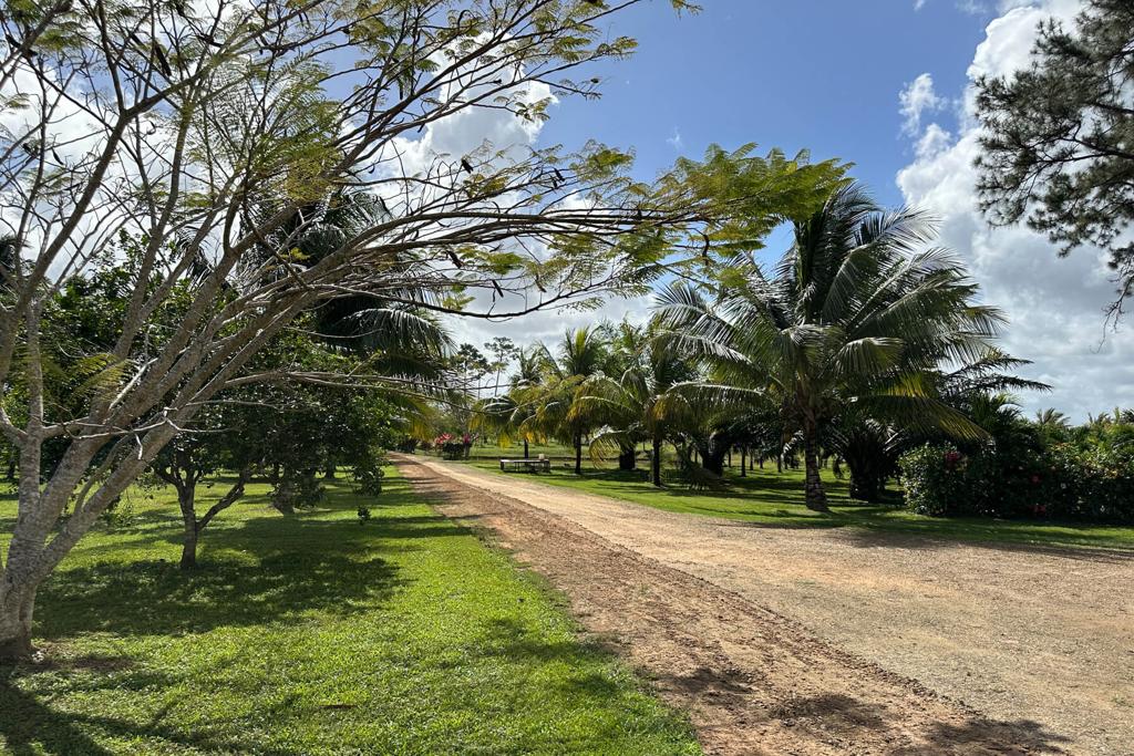 listing image with ID 20437