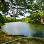 listing image thumbnail with ID 22926