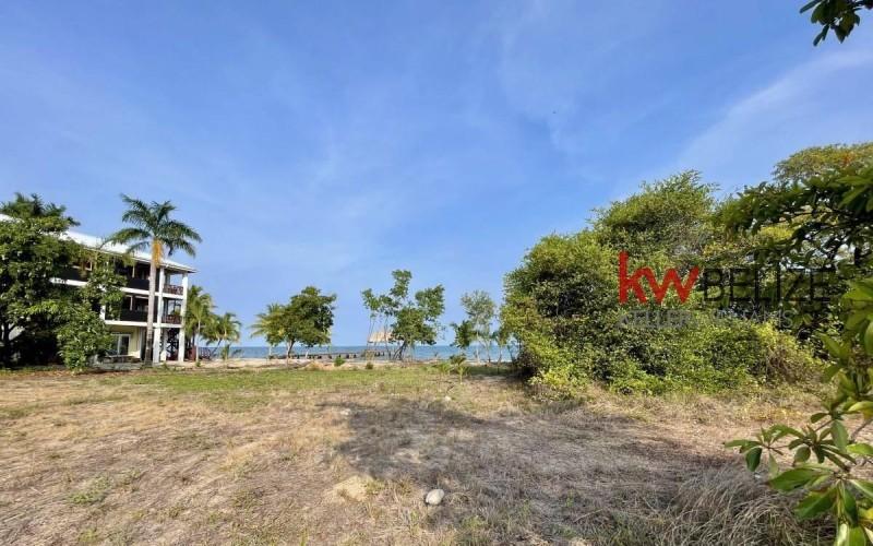 listing image with ID 18504