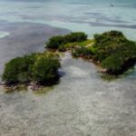 listing image thumbnail with ID 23003