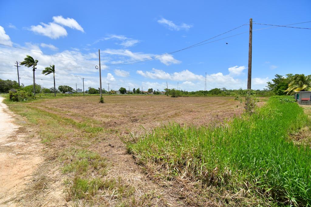 listing image with ID 25421