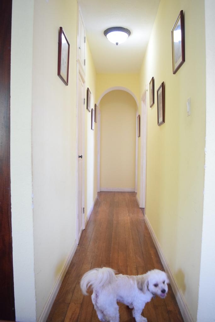 listing image with ID 25719