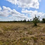 listing image thumbnail with ID 24781