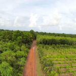 listing image thumbnail with ID 23358