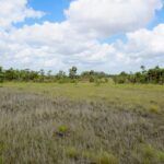 listing image thumbnail with ID 22374