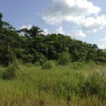 listing image thumbnail with ID 21841