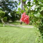 listing image thumbnail with ID 22922