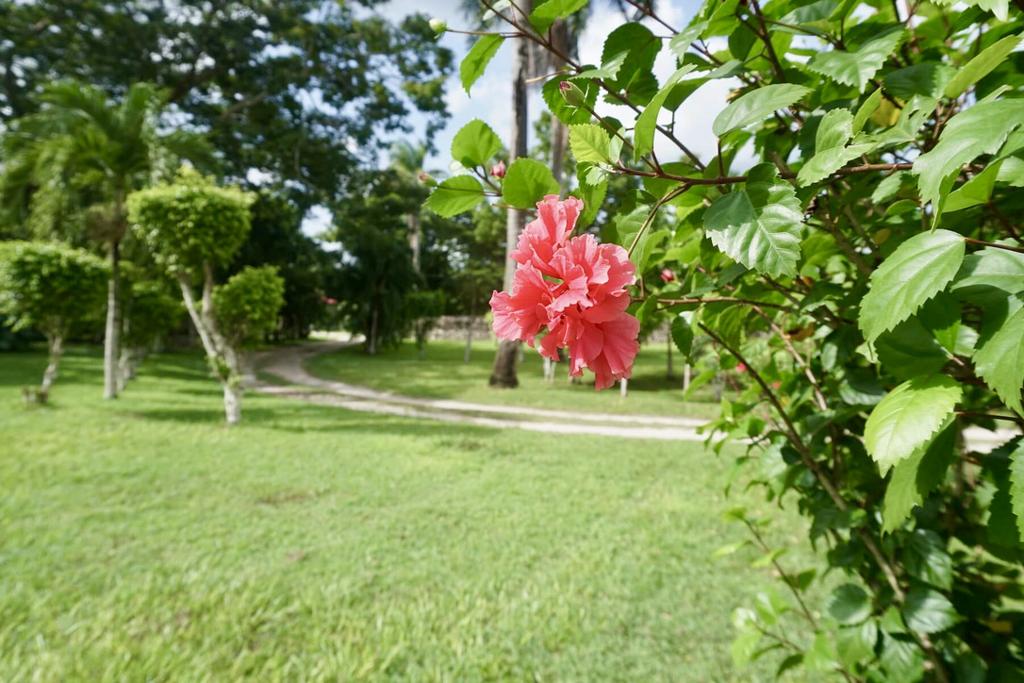 listing image with ID 22922
