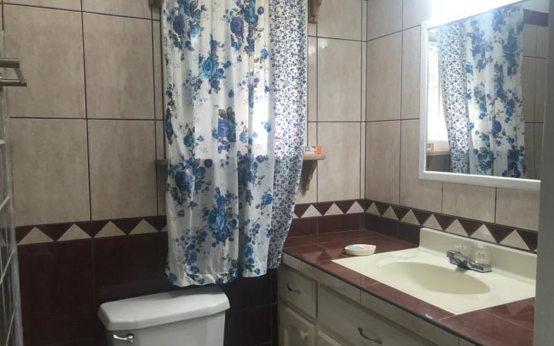 listing image with ID 10077