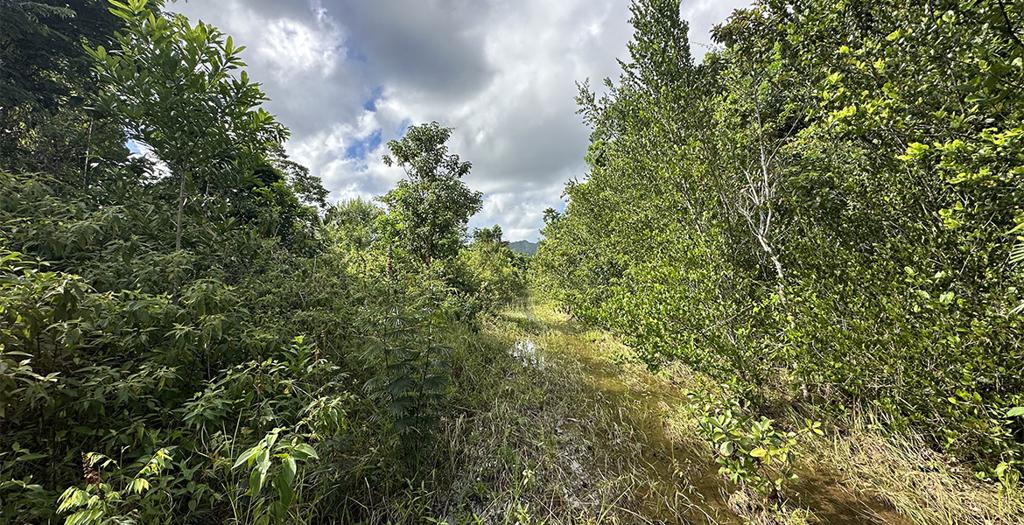 listing image with ID 14414