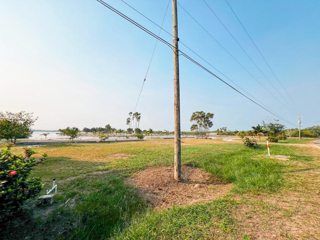 listing image with ID 7761