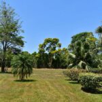 listing image thumbnail with ID 25346