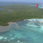 listing image thumbnail with ID 19752