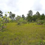 listing image thumbnail with ID 24174