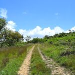 listing image thumbnail with ID 21747