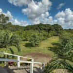 listing image thumbnail with ID 20440