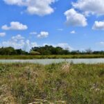 listing image thumbnail with ID 25572