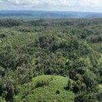 listing image thumbnail with ID 21445