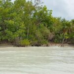 listing image thumbnail with ID 21867