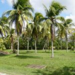 listing image thumbnail with ID 22328