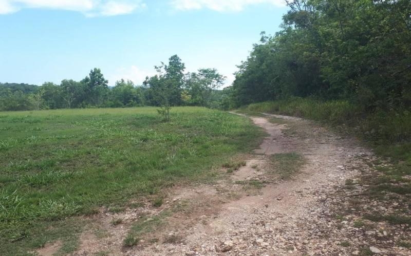 listing image with ID 11968