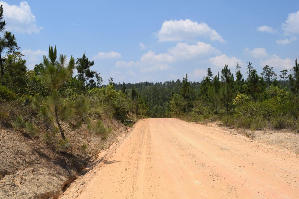 listing image with ID 19609