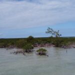 listing image thumbnail with ID 27025