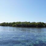 listing image thumbnail with ID 24218