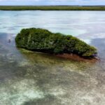 listing image thumbnail with ID 23009