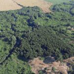 listing image thumbnail with ID 23140