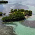 listing image thumbnail with ID 23004