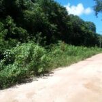 listing image thumbnail with ID 21985