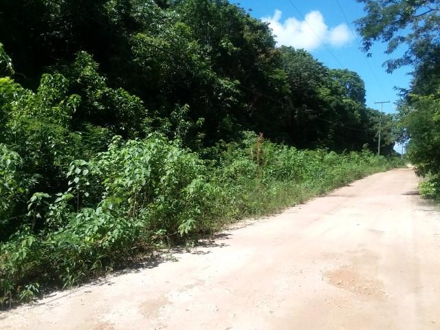 listing image with ID 21985