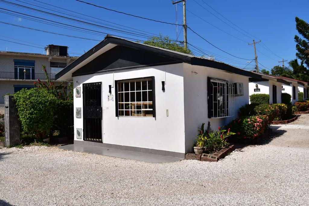 listing image with ID 20281