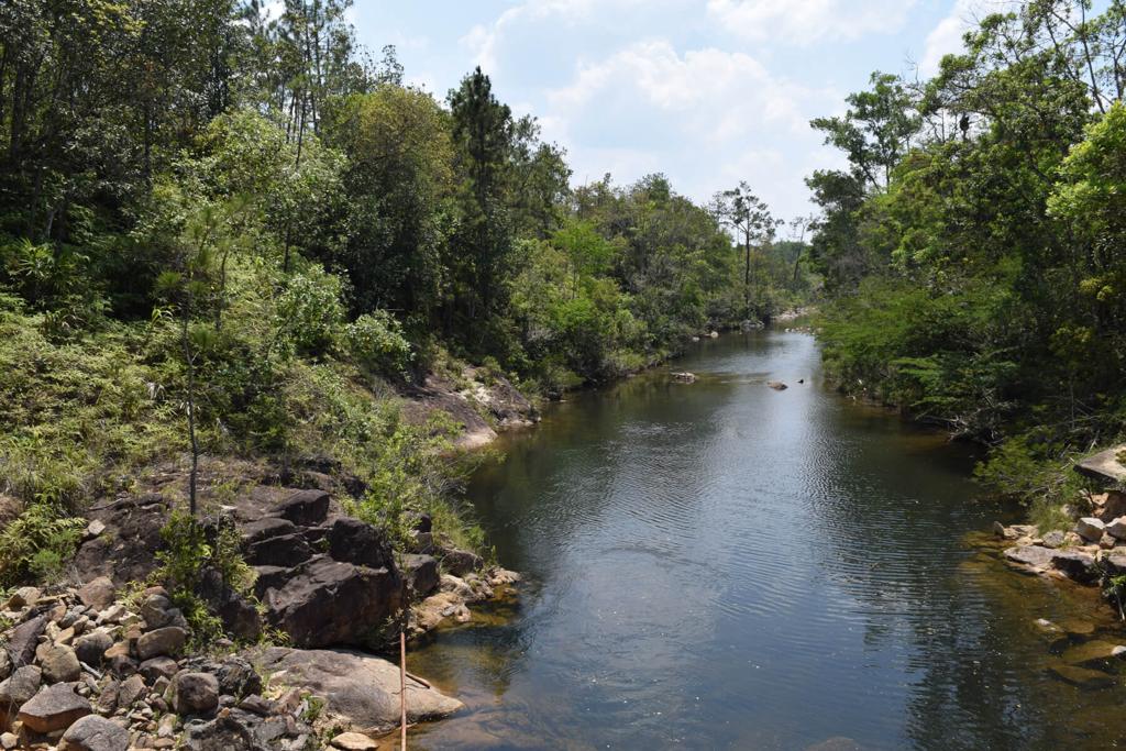 listing image with ID 19614