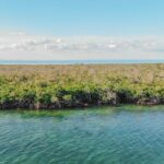 listing image thumbnail with ID 26520