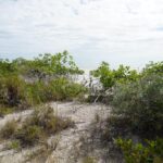 listing image thumbnail with ID 27023