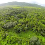 listing image thumbnail with ID 23367