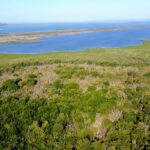 listing image thumbnail with ID 26873